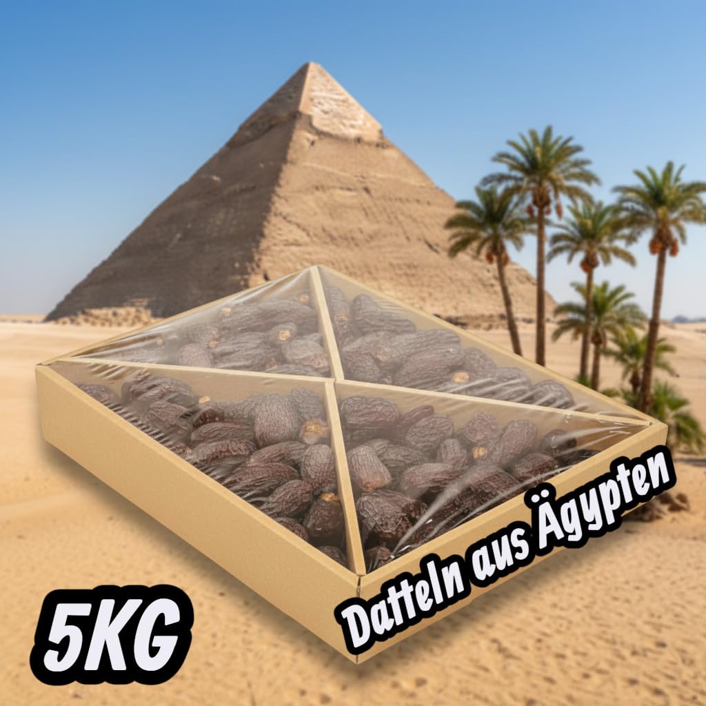 Datteln Medjool Medjoul Kiste Deglet Nour 5 kg vegan fruchtiger honigsüßer Geschmack