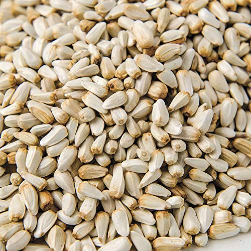 Buy Label M.E Safflower Seeds/ Kusum Beej Seeds/ Kardi Seeds for Adult