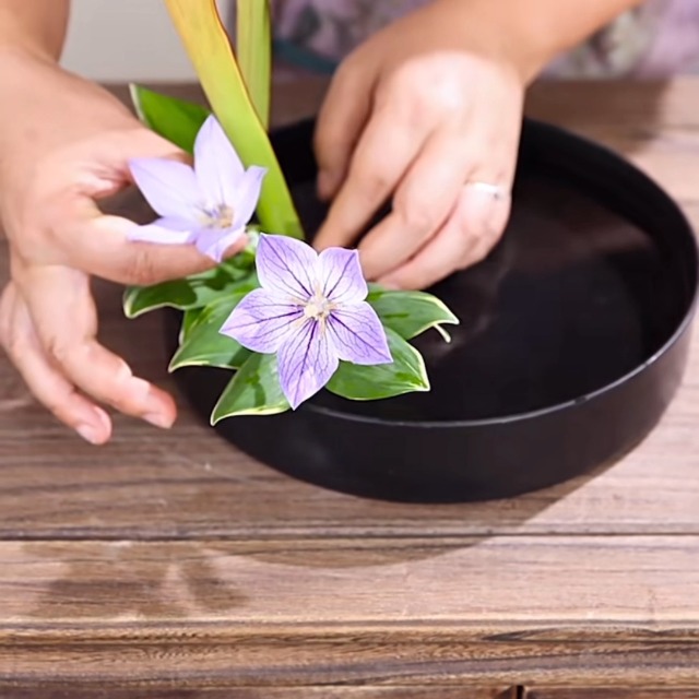 小物 Keisuke Amazon.com: Eggone Japanese Ikebana Kit Floral Frog Flower