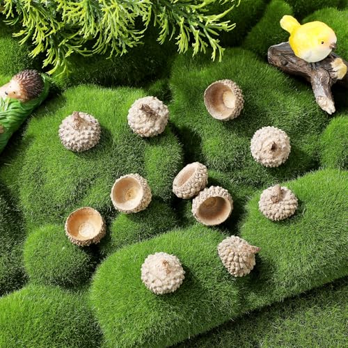 Natural Real Acorn Caps para Artesanías, 50 piezas miniatura 6