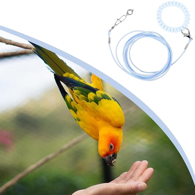 Foto 2 de 8 de Cuerda de vuelo para loros, cuerda de entrenamiento ligera para volar, anillo de tobillo para pájaros