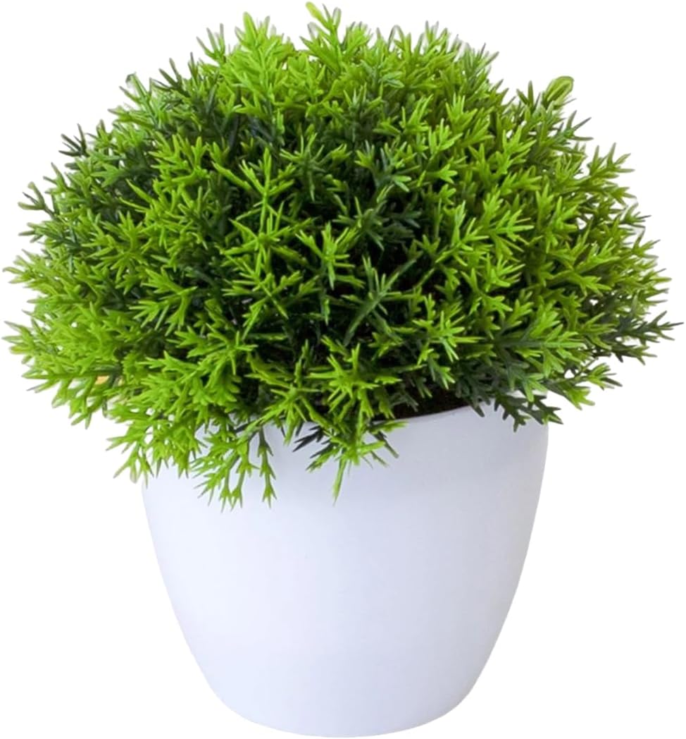 Heoaaoeh Small Artificial Plants in White Pot, Faux Plants