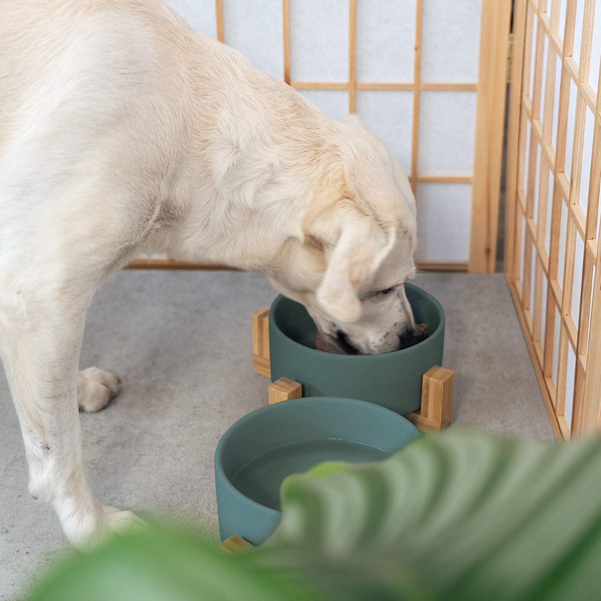 Set 2 Ciotole Rialzate Per Cani E Gatti Navaris | In Ceramica E Bambù | Design Scandinavo Grigio - Foto 8