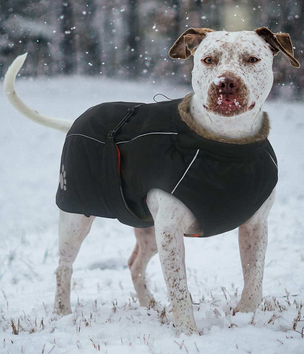 Amazon | ASMPET 犬 服 冬用 ドッグウェア 防寒 コート お散歩 軽量 犬