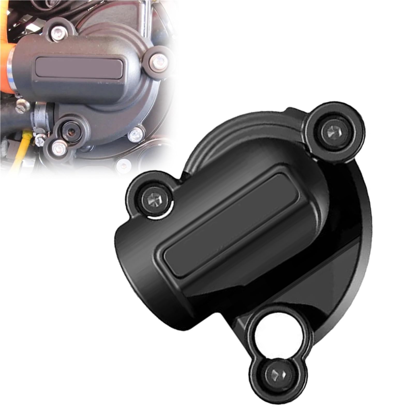 Protection moteur Ducati Streetfighter 1098 et carter d'embrayage