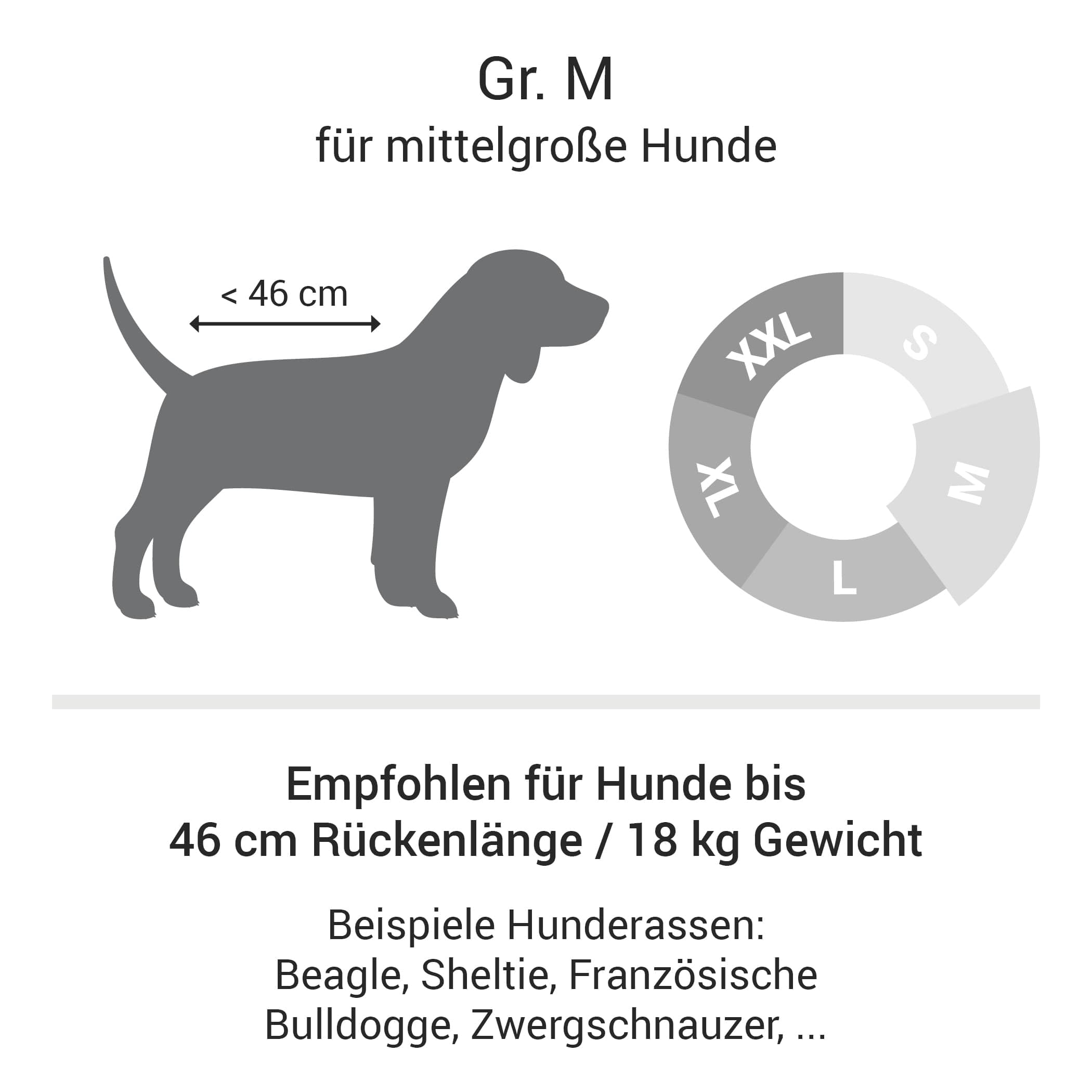 Doctor Bark Hundebett Orthopädisch - Waschbar bis 95°C, Geruchsfrei & Hygienisch - Kuscheliger Hundekorb Mittelgroße Hunde mit Hundematratze (M - 80x70 cm, Grau)