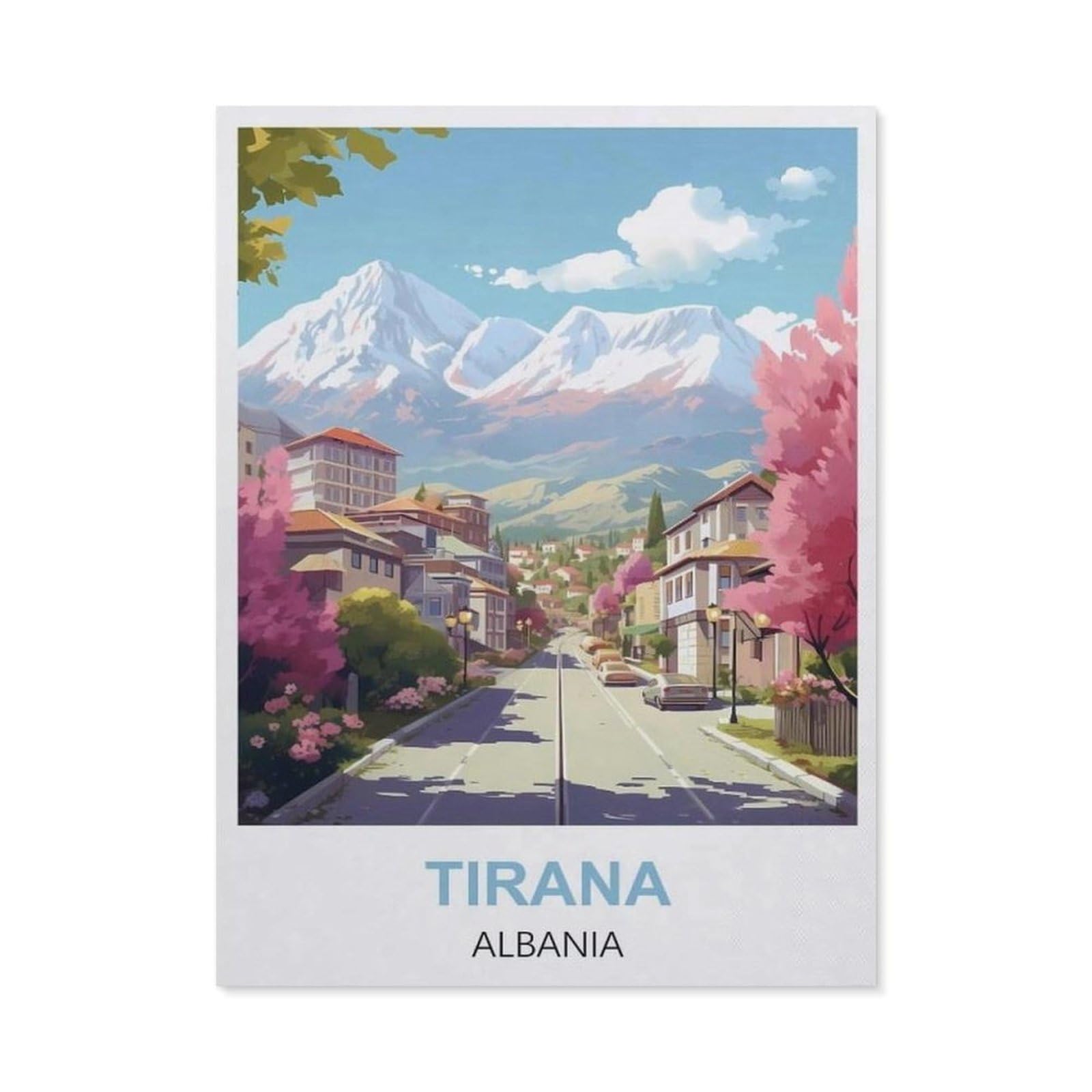 Funny Metal Tin Signs，Tirana Albania(15x30cm）