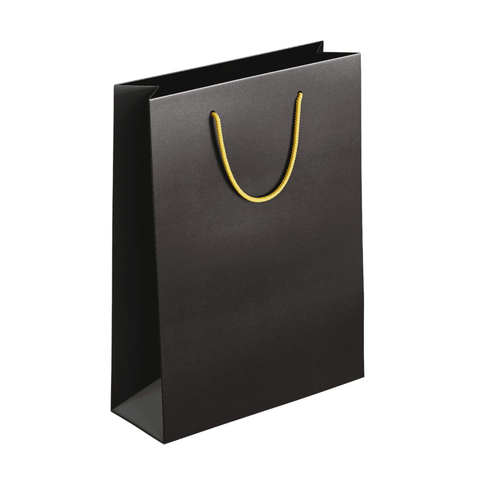 Apex Graphics Black Paper Gift Bags - Solid Plain Paper Bags - 23x30x9 cm Size - Return Gift, Birthday, Diwali (pack of 2) (B0D1GFQMMM) Amazon Price History, Amazon Price Tracker