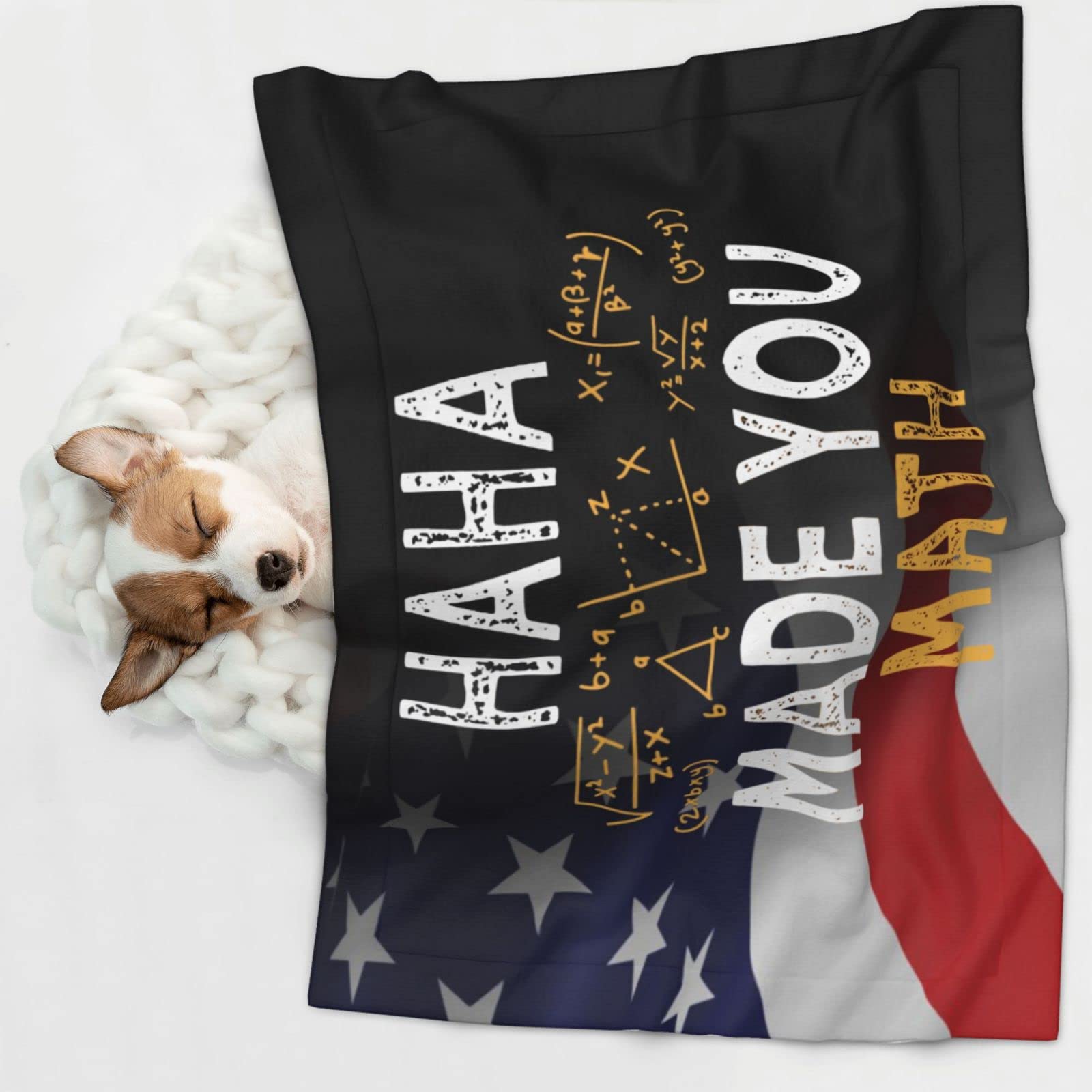 Made You Math Teacher Math Soft and Cozy Pet Blanket for Dogs and Cats - Versatile and Comfortable Medium