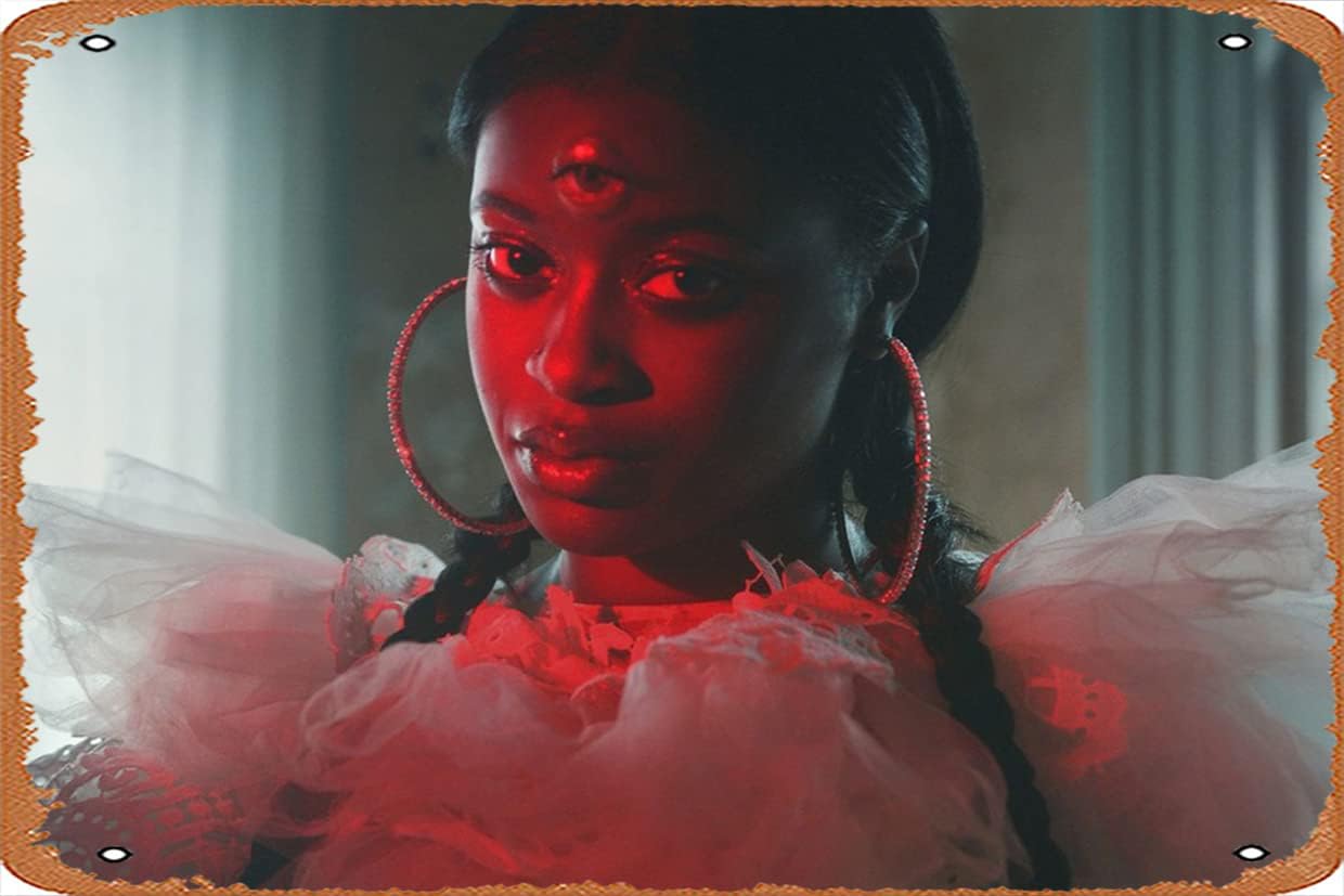 Amazon.com: Muecddoa Tierra Whack (Rapper,Dizzle Dizz) Music Poster Tin ...