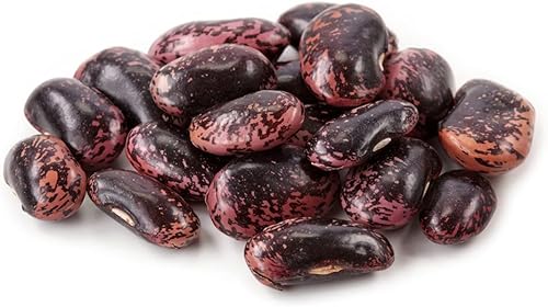 Miniatura 2 de Semillas de frijol Scarlet Runner Pole para plantar, más de 25 semillas de reliquia por paquete, semillas de jardín de Isla (semillas de jardín de