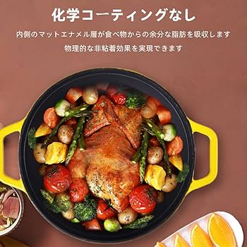 ストーブ赤い鋳鉄製両手鍋 Amazon.co.jp: 鋳物ホーロー鍋 両手鍋 鋳鉄鍋 鍋 無水調理 蒸気