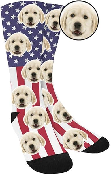 divvy up dog socks