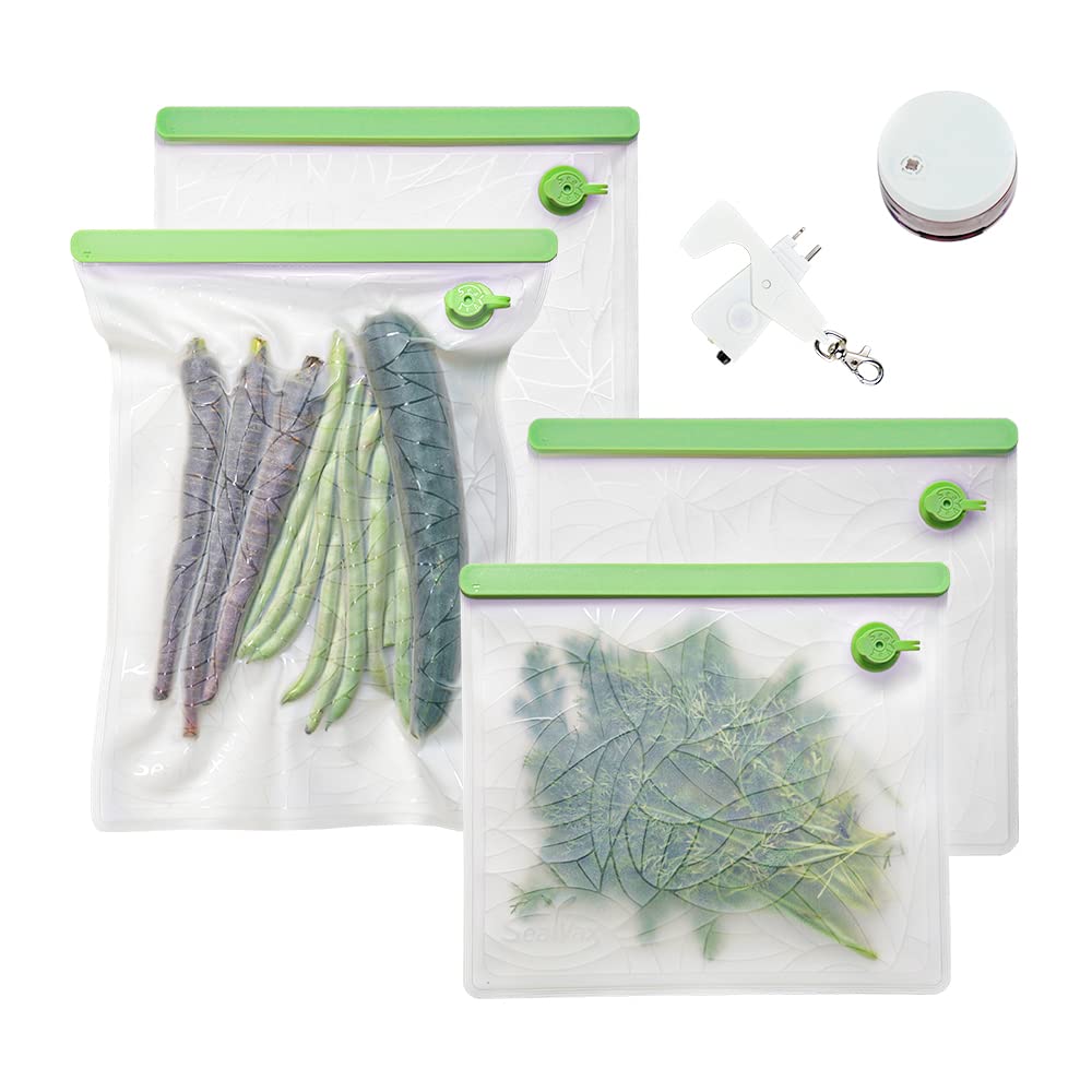 handheld vacuum sealer and bags