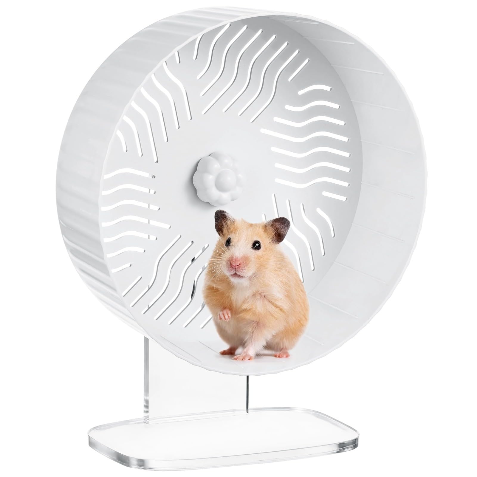 Ruota per criceti silenziosa, supporto salvaspazio in acrilico, facile da montare, ideale per piccoli animali domestici