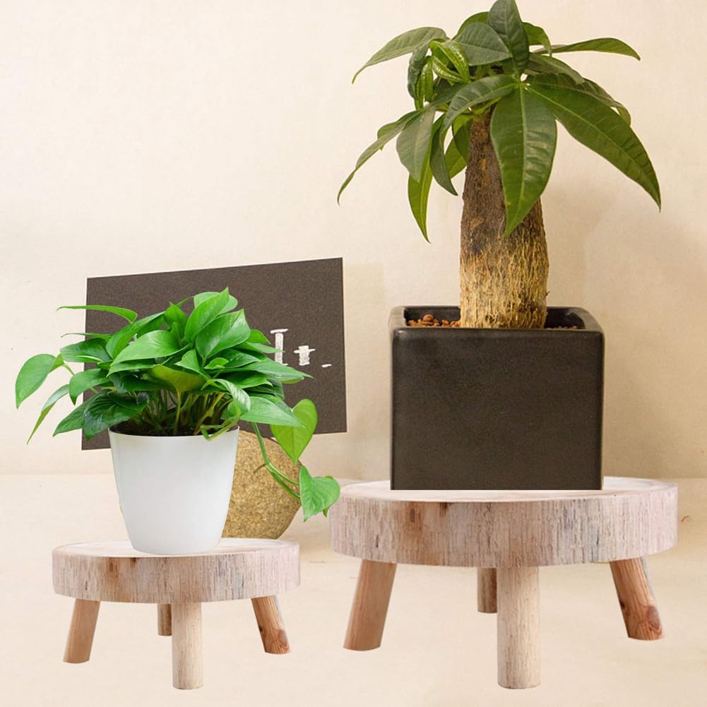 Mini-Holzhocker, Pflanzenständer, Dekorativer -Pflanzenhocker, Bonsai-Halter für Drinnen und Draußen, Haus, Garten, M