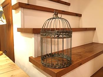 Amazon.co.jp: アイアンの鳥かごです 庭 園芸 花 寄せ植え