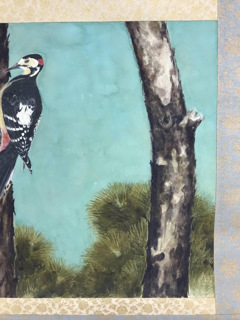 真作/朝見香城/樹間啄木鳥図/キツツキ/花鳥図/掛軸/名家伝来/AD-877 Amazon.co.jp: 真作朝見香城樹間啄木鳥図キツツキ花鳥図掛軸名家