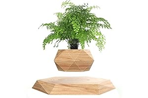 Elegantly Levitating Plant Pot: A Hexagonal Oasis for Your Verdant Companions