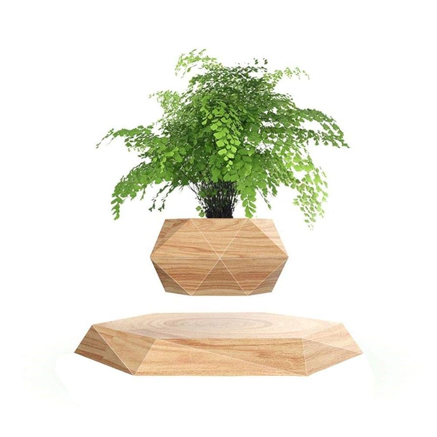 Amazon.com : KIYOMING Levitating Plant Pot Hexagon Floating