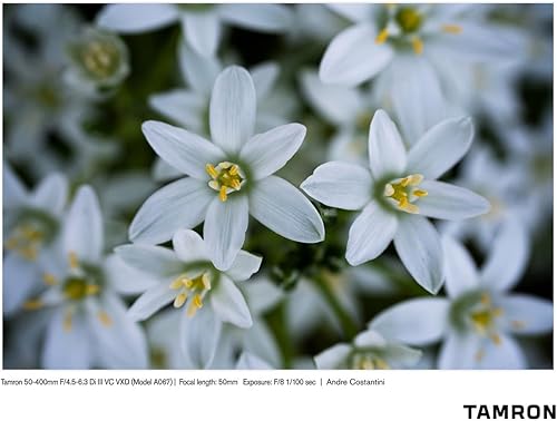 Miniatura 10 de Tamron 50-400mm f/4.5-6.3 Di III VC VXD Lens for Sony Full Frame Mirrorless Cameras