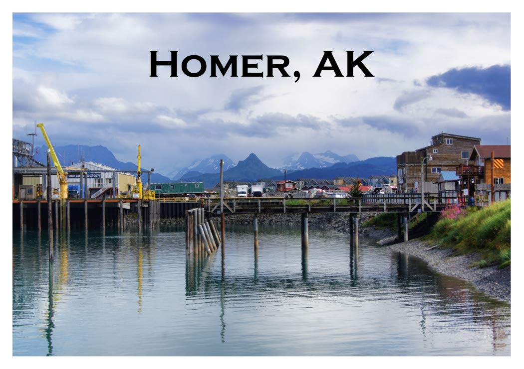 Homer, Boat Marina, Harbor, Alaska, AK, Mountains, Travel, Souvenir Magnet 2 inch x 3 inch Fridge Magnet