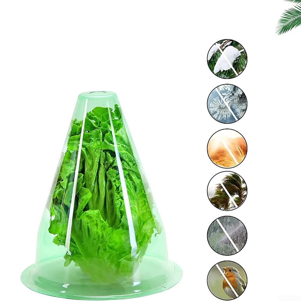 Lot de 12 cloches transparentes pour protection contre le gel, dômes de jardin réutilisables en plastique 20 x 20 x 24 cm