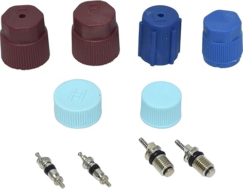 AC System Valve Core and Cap Kit Compatible With Suzuki Esteem 1995 1996 1997 1998 1999 2000 2001 2002 PC-1031339