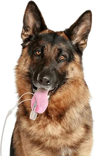 image for Cat/Dog/Animal Automatic Blood Pressure Monitor CONTEC08A-VET Electron