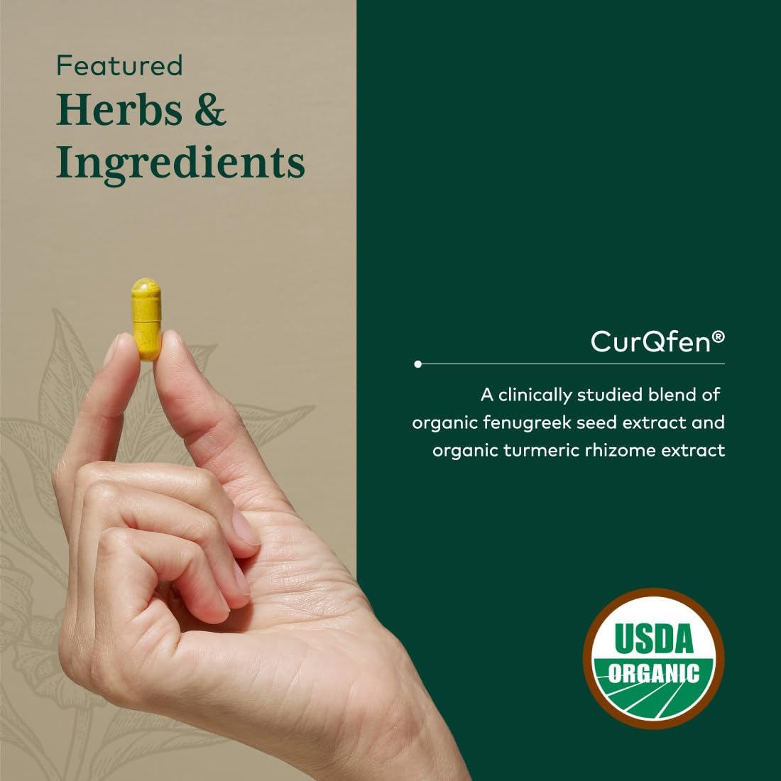 GAIA HERBS PRO Turmeric Fenugreek Complex - Daily Dietary Supplements for Active Lifestyle Support* - Herbal Nutrient Complex with Fenugreek Extract & Organic Turmeric - Vegan - 60 Capsules