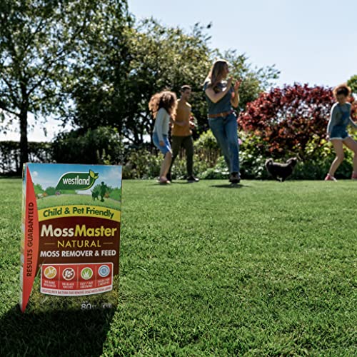 Westland Moss Master Box 80m2 Box - Image 4