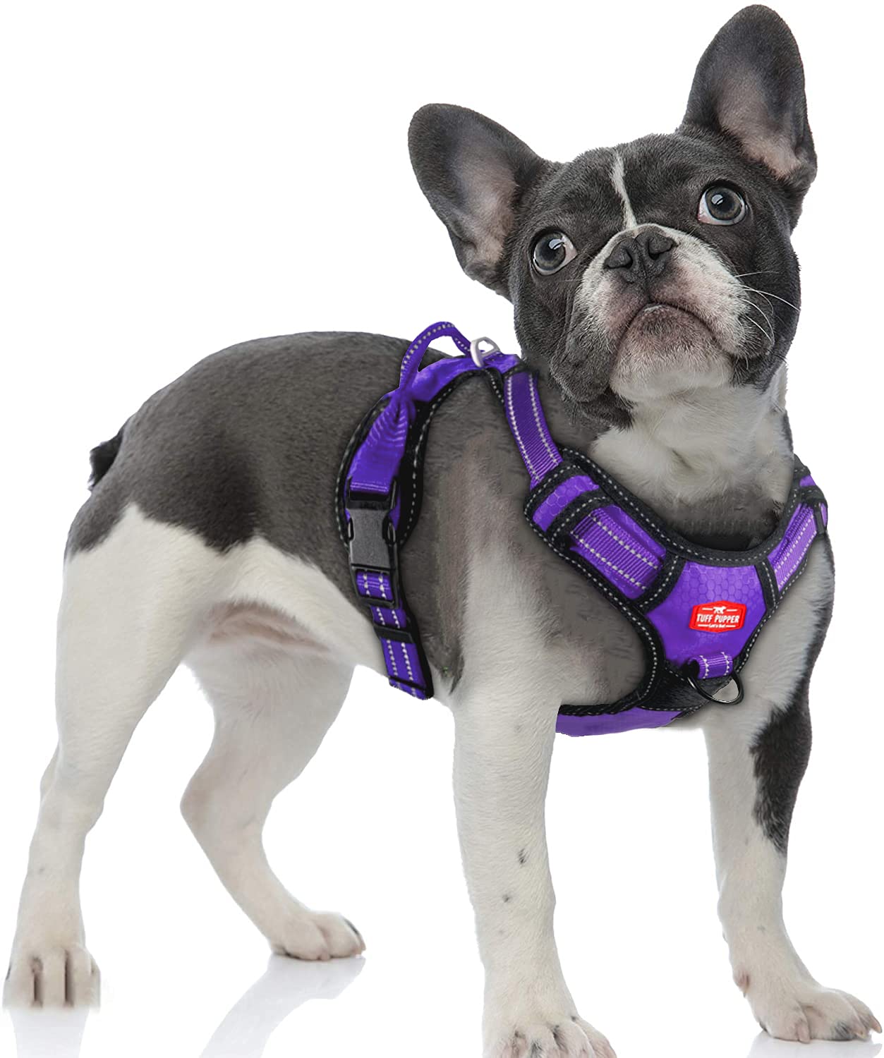 Tuff PupperAnti Pull Heavy Duty Dog Harness, Easy Walk Front & Back Leash Clips, Strong Safety Handle, Reflective Vest, Comfortable Padded Training Harness, Small Medium Large Dogs (Medium, Purple)