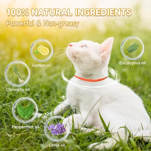 Woyamay Collare Antiparassitario per Gatti