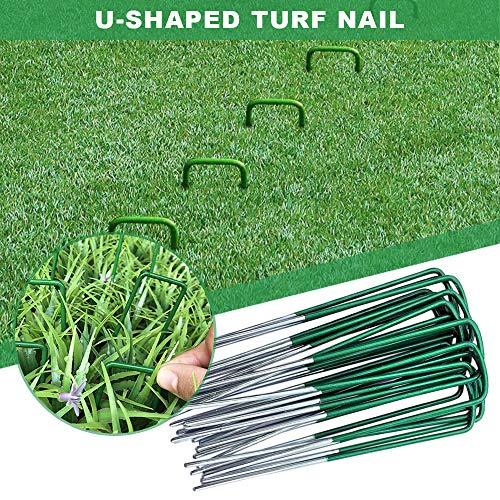 Olymajy Picchetti di Terra, pioli della Membrana