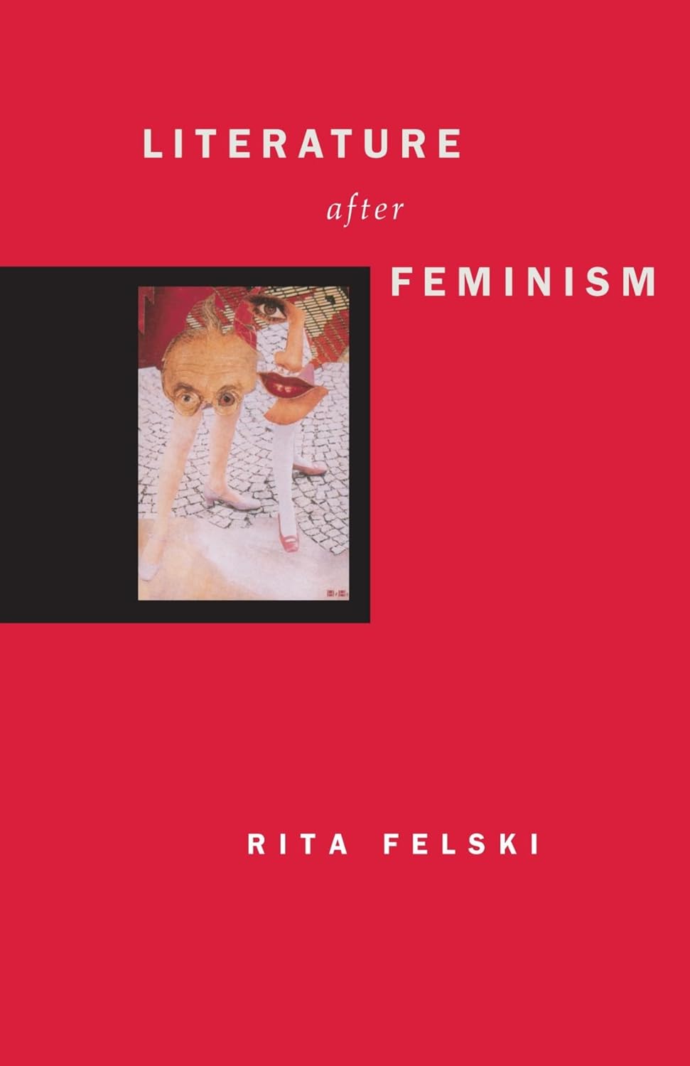 Literature after Feminism 9780226241159 Felski, Rita Books