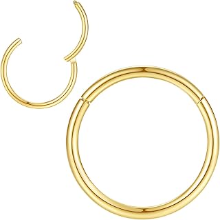 316L Chirurgenstahl Scharnierende Nasenringe Reifen Suptum Ring Körper Piercing Lippenringe Helix Knorpel Rook Ohrringe 20G 18G 16G 14G 12G 10G 8G, Durchmesser 5mm bis 16mm, Gold-Roségold-Silber-Schwarz