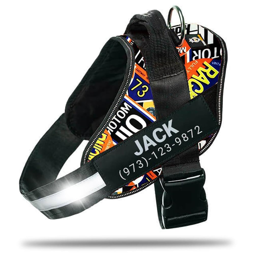 DOGGYKINGDOM Personalized No-Pull Dog Harness with Name Patch, Adjustable, Reflective, Padded, Heavy Duty Pet Vest to Prevent Tugging, Pulling, or