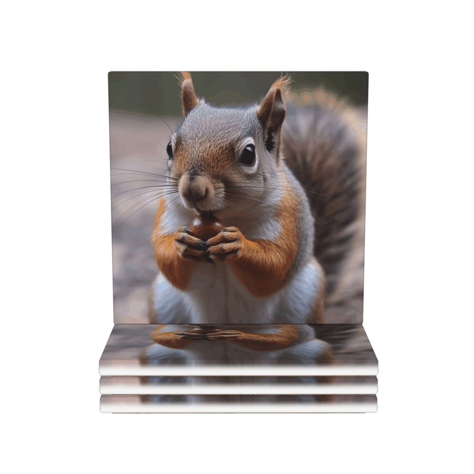 Drink Coasters Set of 4 Coffee Ceramic Coaster Cute Squirrel Coasters for Drinks Coffee Cup Mat Heat Resistant Tabletop Protection Coaster Desk Accessorie Home Decorative