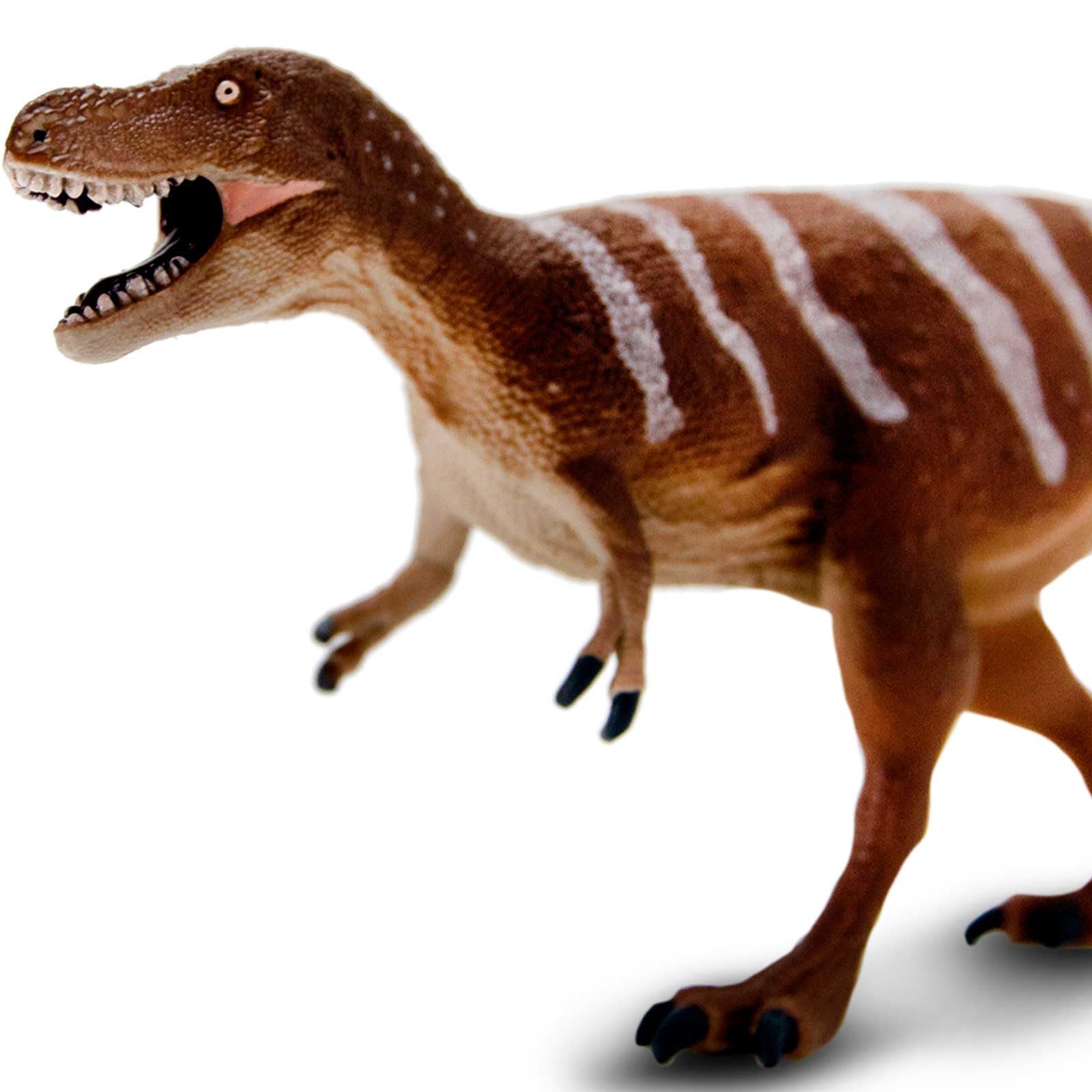 ティラノサウルス　孵化　アメリカ　safari 社　フィギュア ティラノサウルス 孵化 アメリカ safari 社 フィギュア
