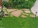 600 Herniaria Glabra Seeds - Green Carpet- Ground-cover,grow in Poor Soil and Gravel by wbut2023