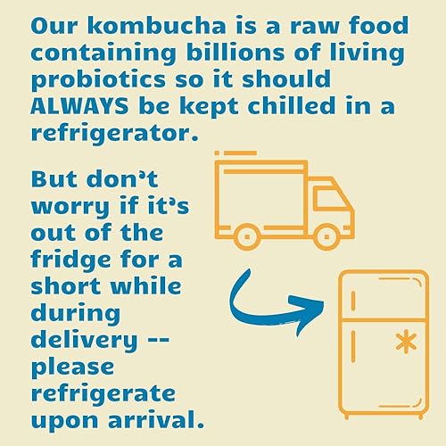 Miniatura 5 de Bambucha Kombucha Hibiscus Rose - Paquete de 12 cajas | Sabor hecho a mano por chef, bebida de té de kombucha 100% cruda | Orgánica, vegana, sin