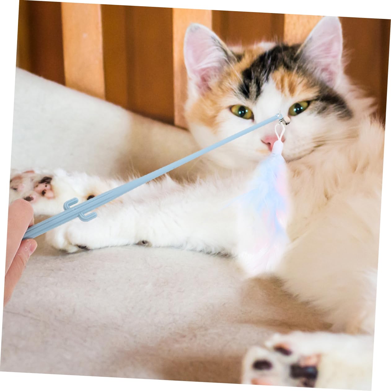 Sosoport 20stücke Katzenangel Spielzeug Teilig Mit Feder Und Ergonomischem Griff Sicheres Interaktives Katzenspielzeug Für Drinnen Fördert Spiel Und Bewegung Für Katzen Und Kätzchen