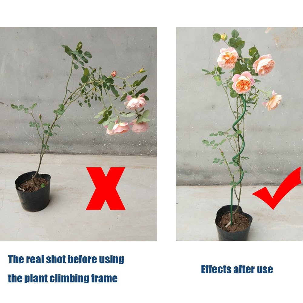 Support de Rose Poteau en Spirale Support de Redressage de Fleurs, Treillis pour Plantes en Pot pour Plantes Grimpantes Treillis de Plantes Bricolage Treillis Supports de Fleurs, Lot de 3(Size:150CM/5