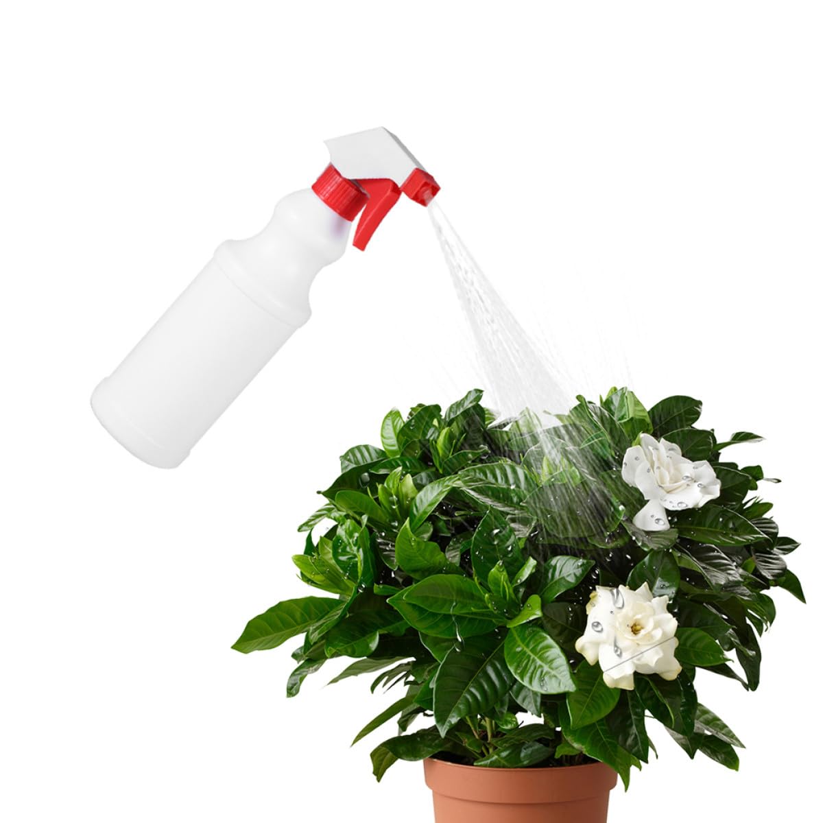 12 Stück 500 ml Kunststoff Sprühflaschen mit Pumpsprühkopf Auslaufsichere Nachfüllflaschen für Pflanzenpflege Haarspray und Reinigung Rot