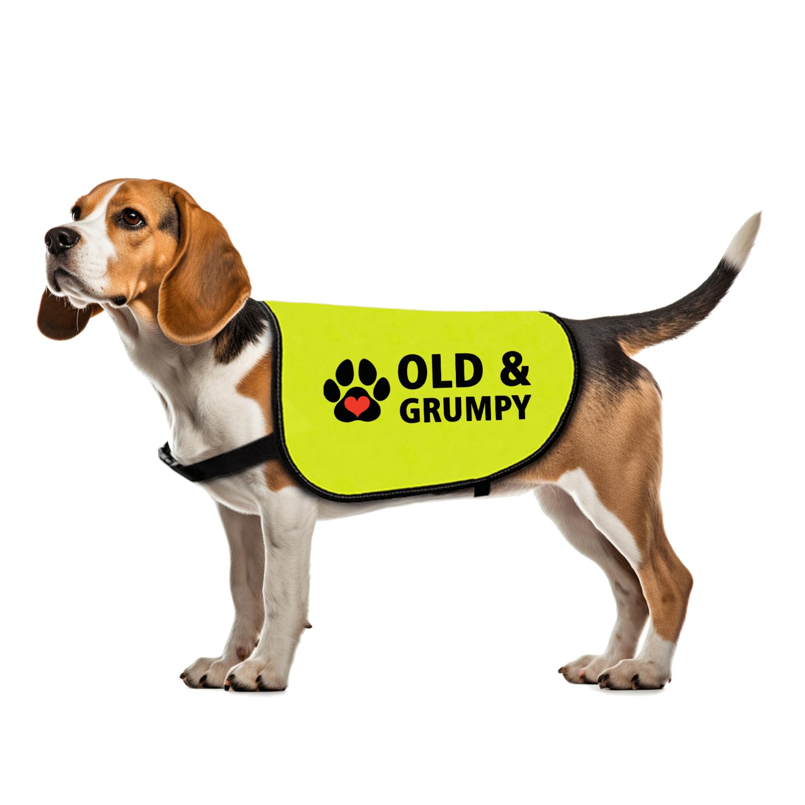 Funny Grumpy Dog Jacket Old&Grumpy Dog Slogan Vest Social Distancing Gift Nervous Dogs Gift Grumpy Animals Vest (OLD & GRUMPY-Medium)