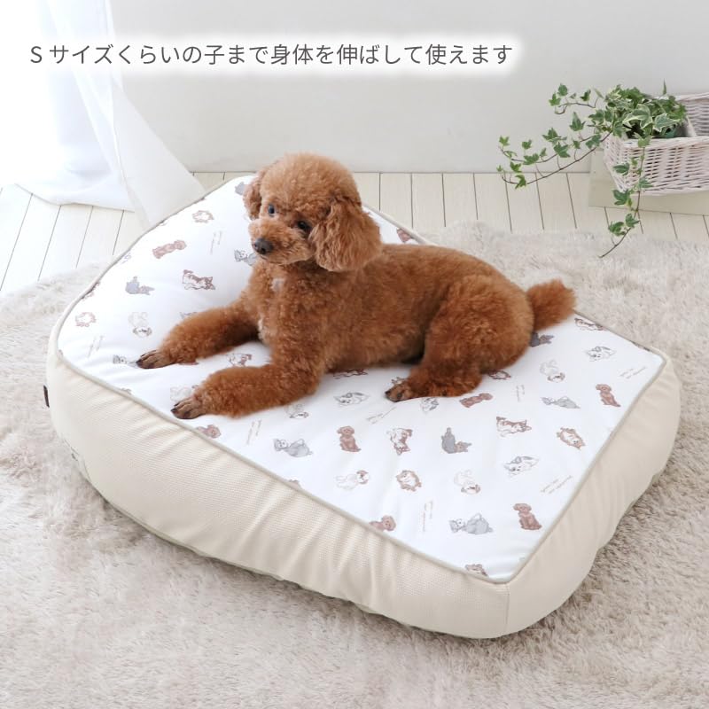 Amazon | ペットパラダイス 犬 ペットベッド クッション 洗える