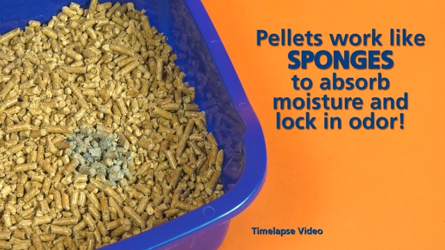 feline pine natural pellets