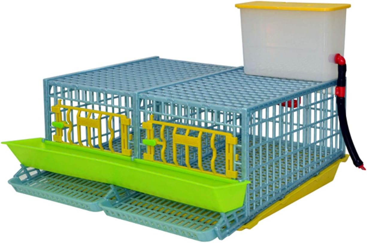 Quail Cage Two Compartment, The Patented Design, First in The World, Professional Quail Egg cage