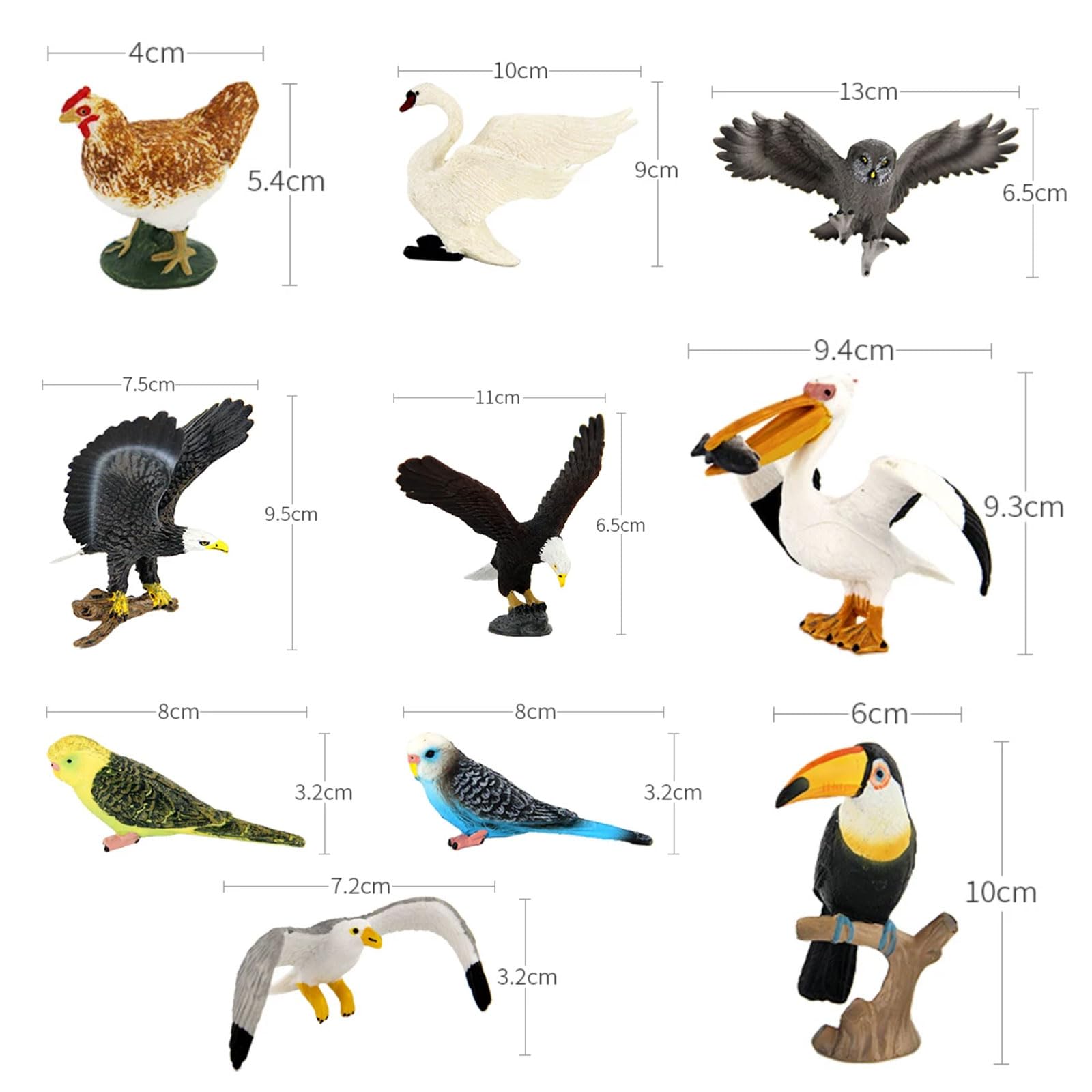 Kit Figure Uccelli Selvatici Montessori, Modelli Animali Avicoli Realistici | Riconoscimento degli Uccelli e Gioco Sensoriale Mini Modelli di Uccelli Selvatici e Domestici per Bambini Piccoli