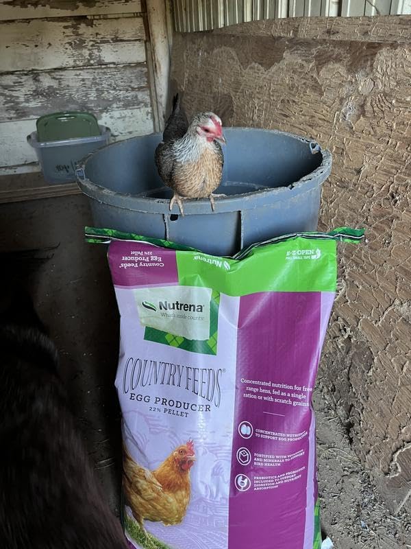 Nutrena Country Feeds Egg Producer Pellet 50 Pounds